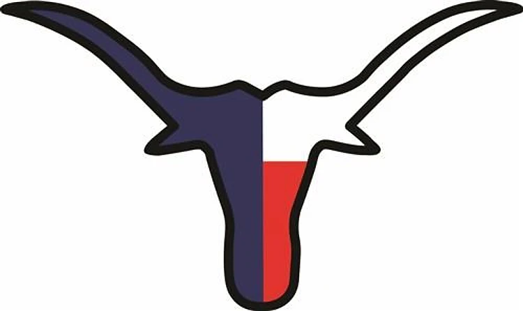TEXAS FLAG LONGHORN