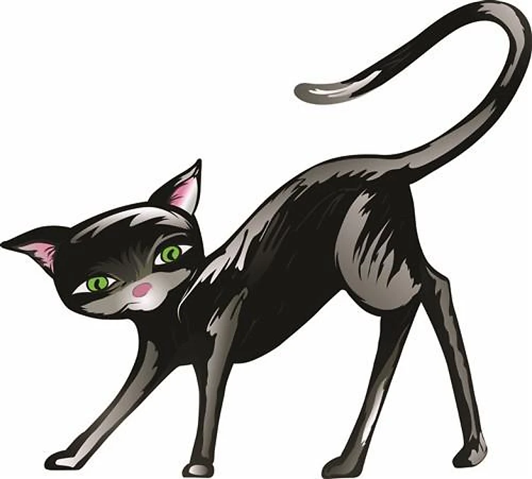 BLACK CAT