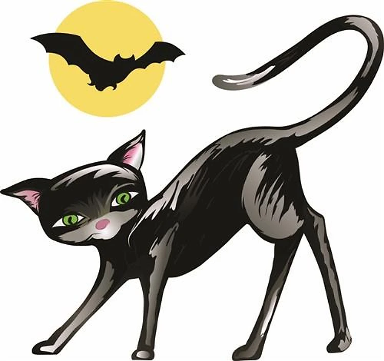 HALLOWEEN CAT