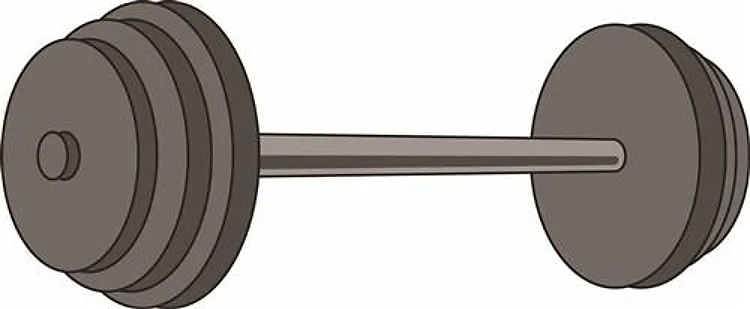 FREE WEIGHTS