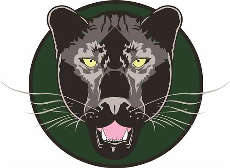 PANTHER