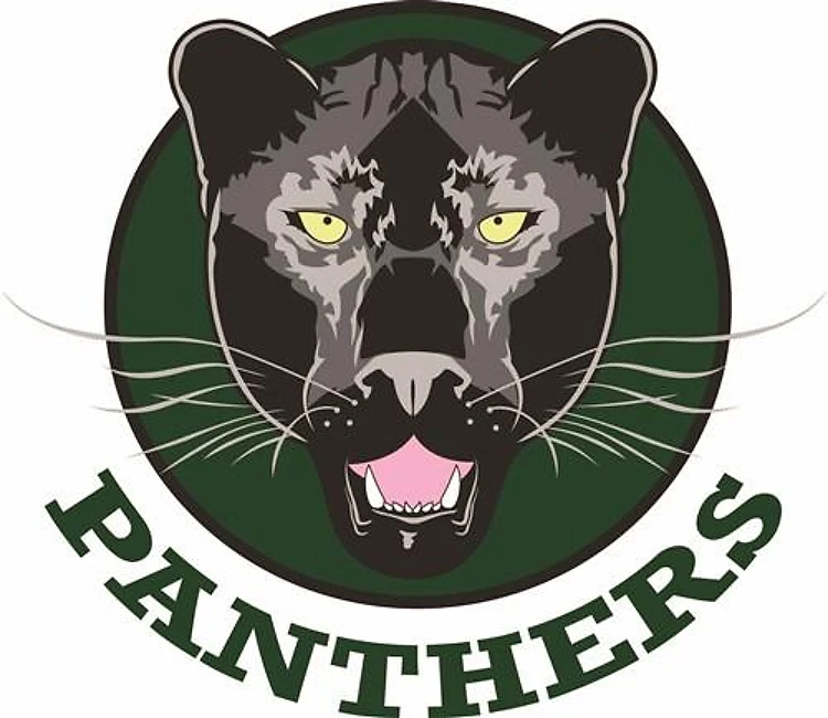 PANTHERS TEAM