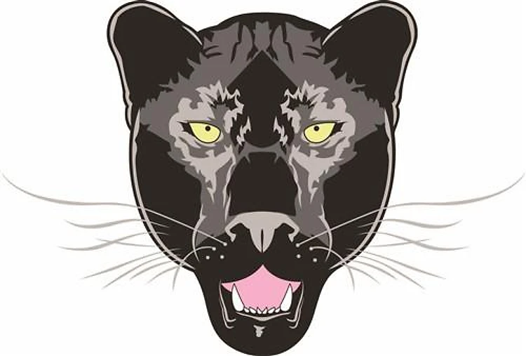 PANTHER