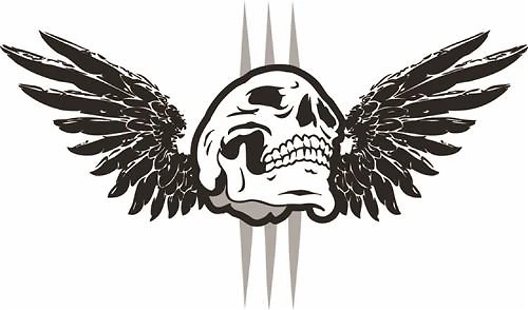 FLYING SKULL