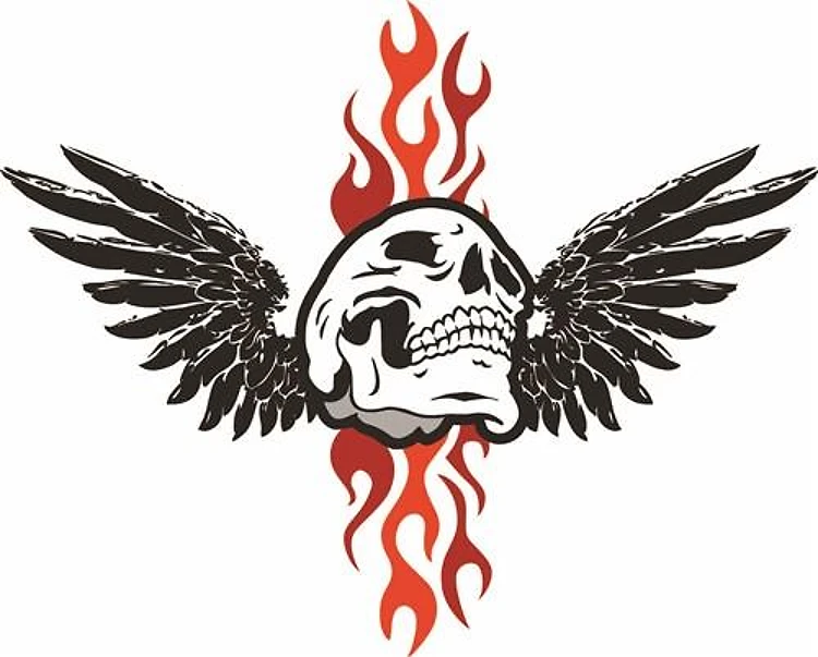 FLYING SKULL WITH FLAMES