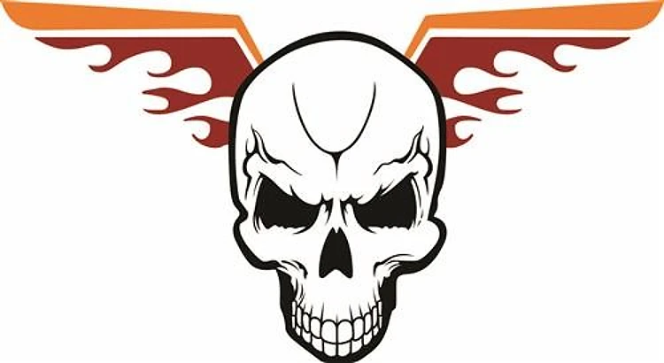 SKULL FIRE WINGS