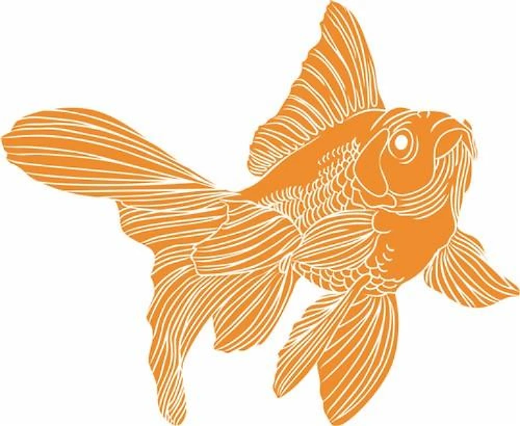 LARGE GOLDFISH