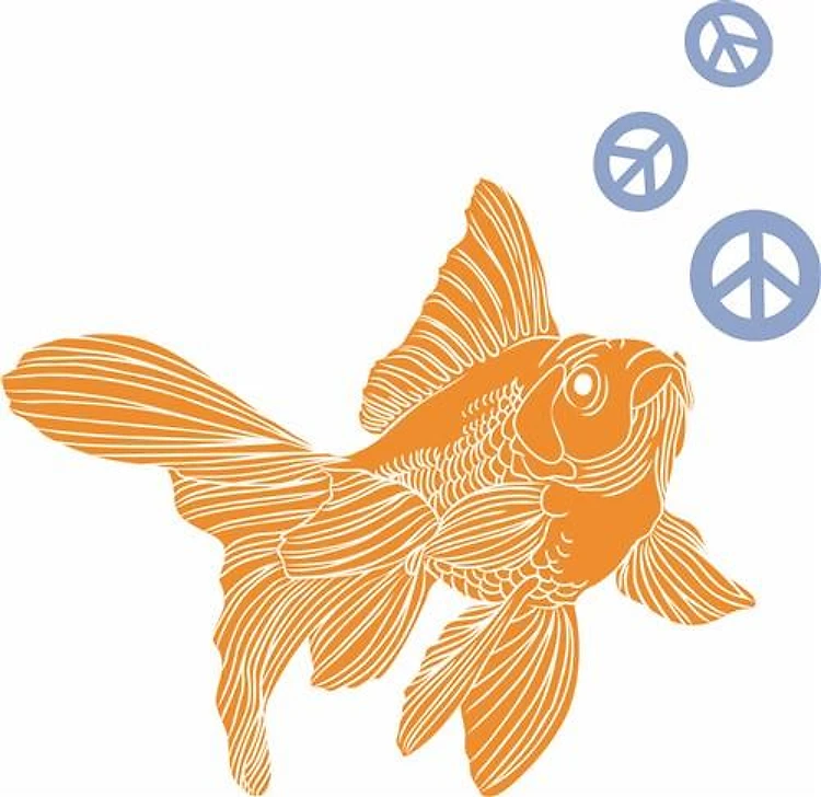 GOLDFISH PEACE