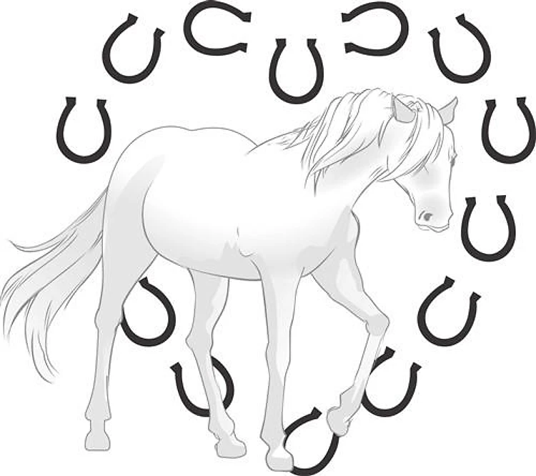 HEART HORSESHOES
