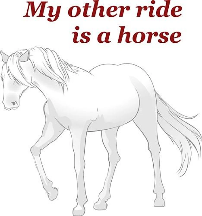 OTHER RIDE IS A HORSE