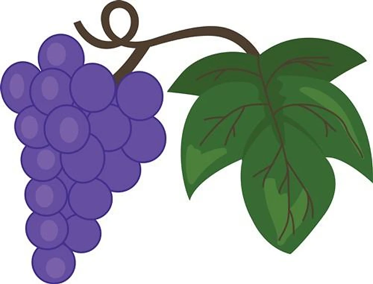 GRAPES