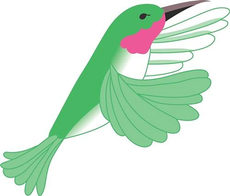 SMALL HUMMINGBIRD