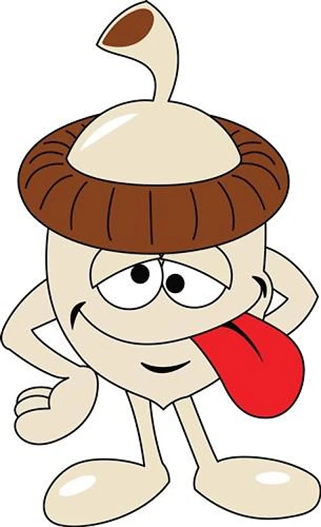 CARTOON NUT