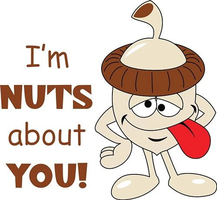 NUTS ABOUT YOU