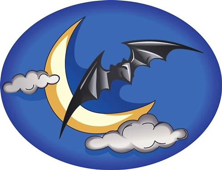 HALLOWEEN NIGHT