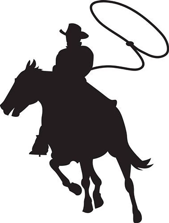 ROPING COWBOY