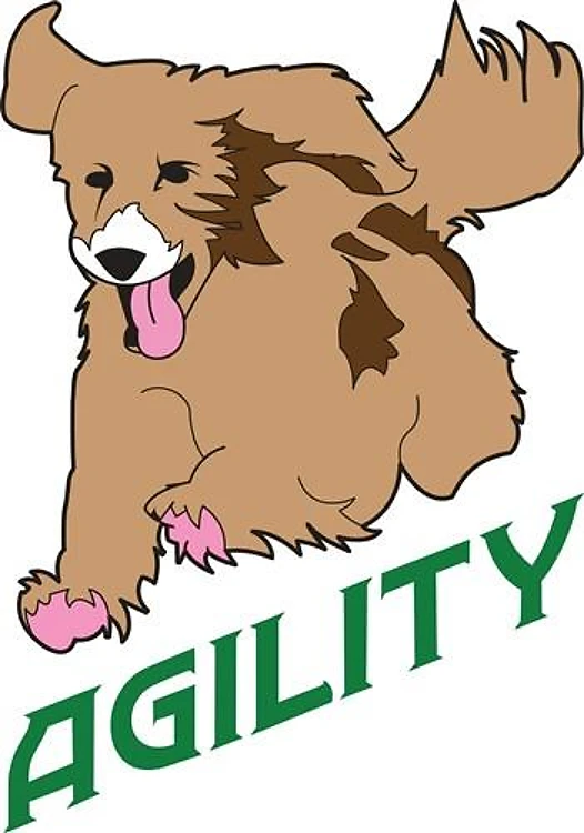 DOG AGILITY