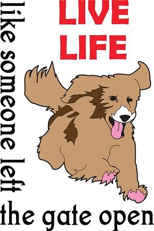 LIVE LIFE