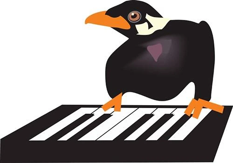 BLACKBIRD ON PIANO