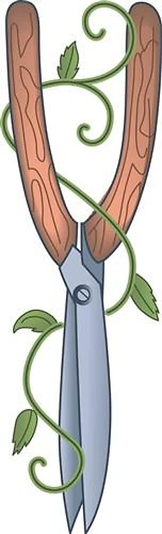 GARDEN SHEARS