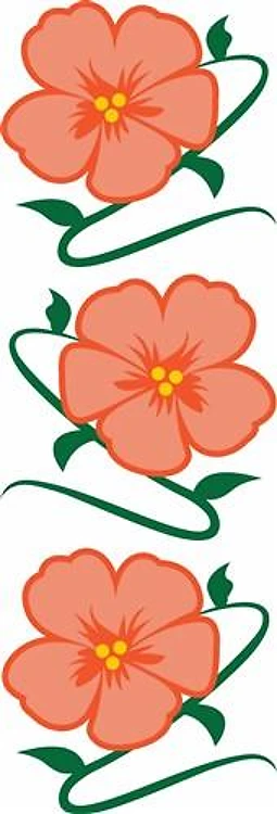 FLOWER BORDER