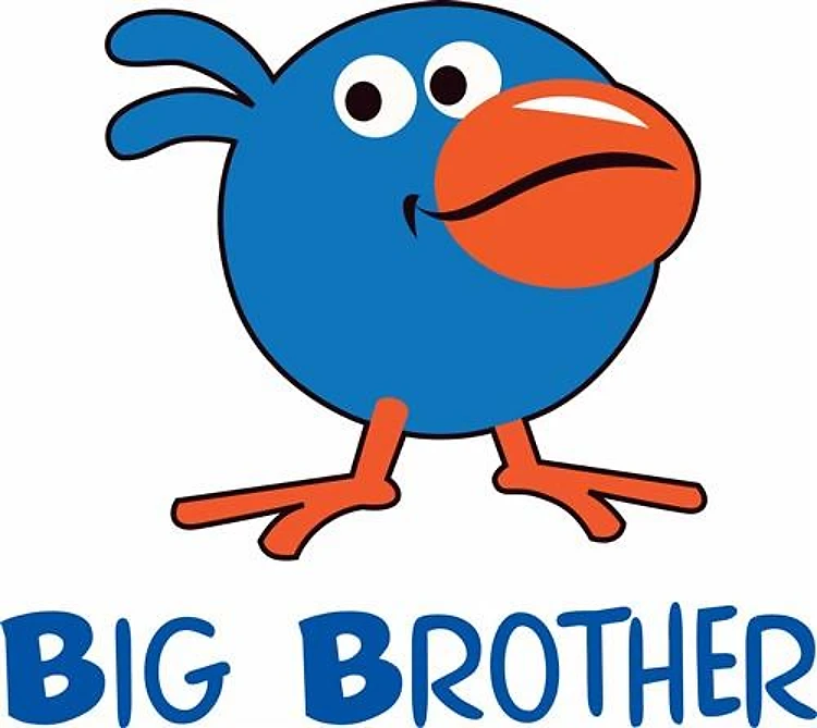 BIG BROTHER
