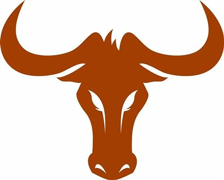 LONGHORN HEAD