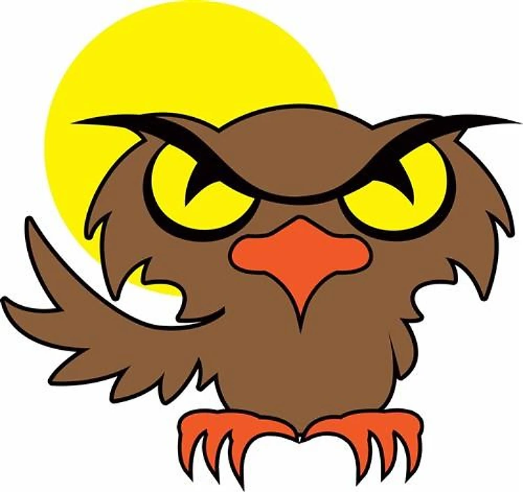 OWL AND MOON