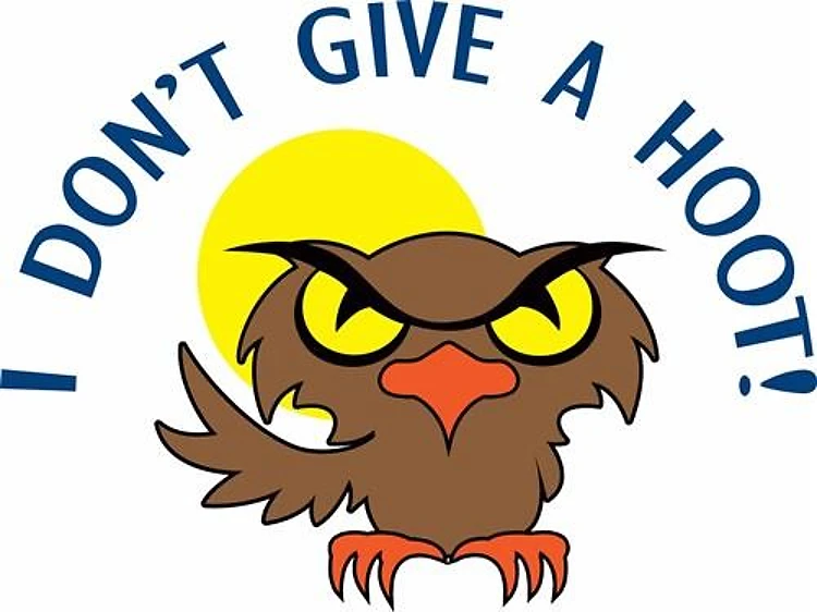 I DONT GIVE A HOOT