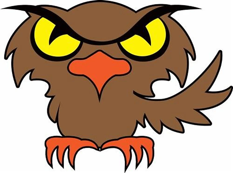 LITTLE OWL
