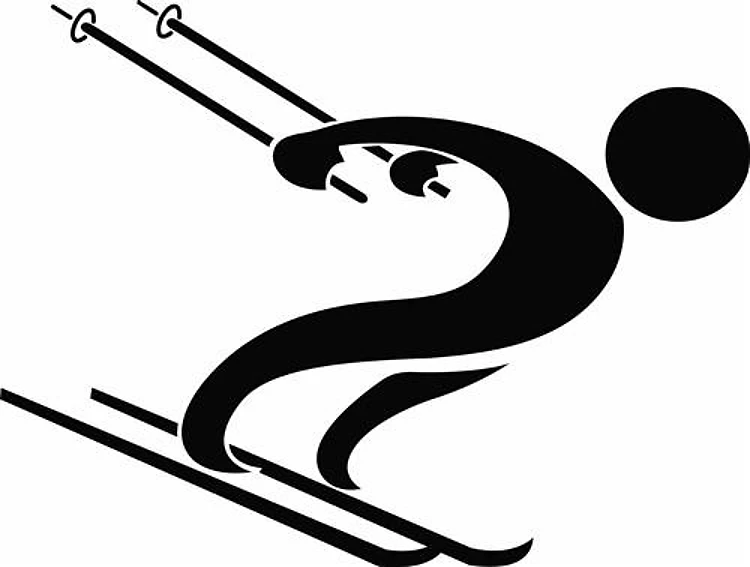 SNOW SKIER