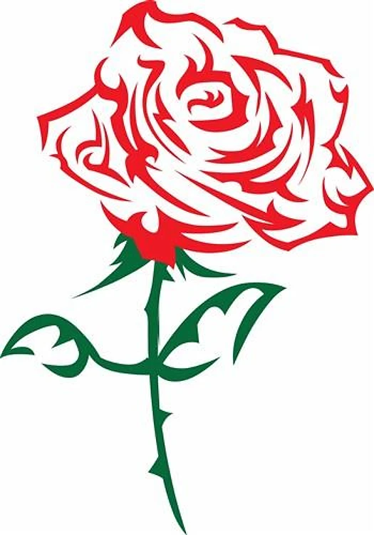 LARGE ROSE