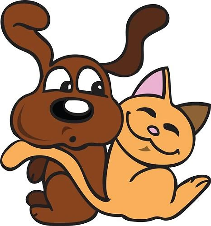 DOG AND CAT