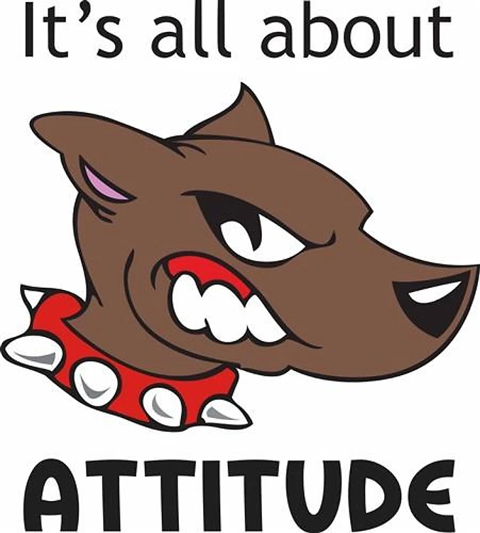 ALL ABOUT ATTITUDE