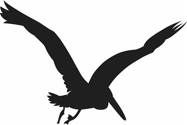 PELICAN SILHOUETTE