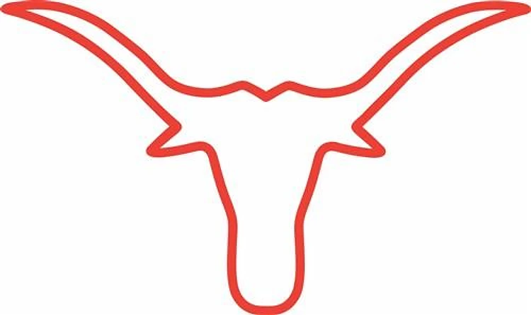 LONGHORN APPLIQUE