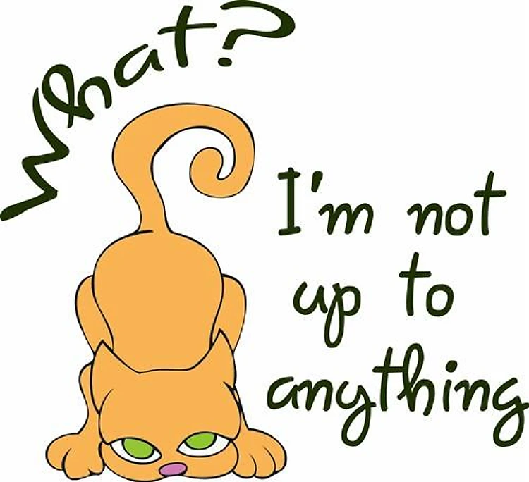 NOT UP TO ANYTHING