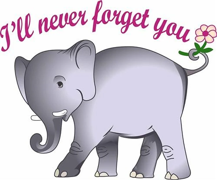 ILL NEVER FORGET YOU