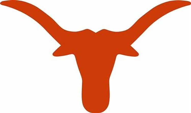MEDIUM LONGHORN