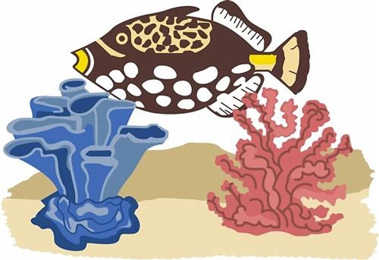 TRIGGERFISH AND CORAL