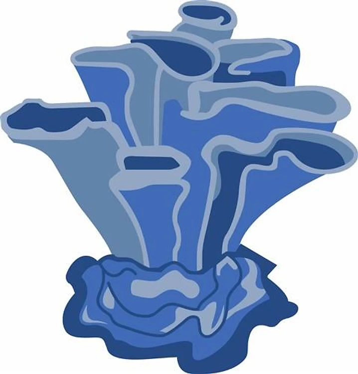 BLUE CORAL