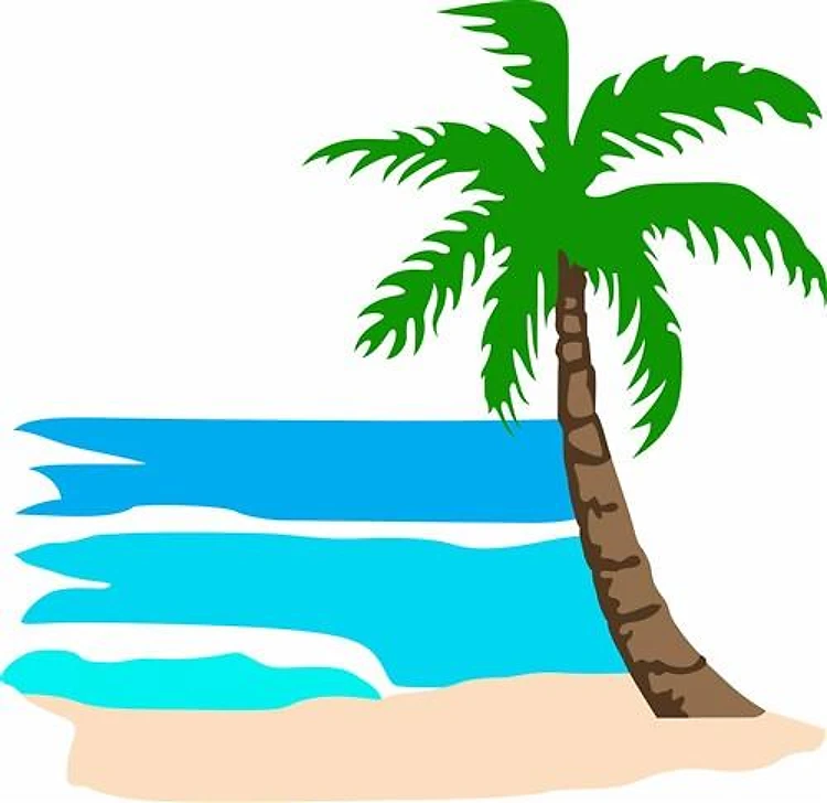 PALM TREE BEACH