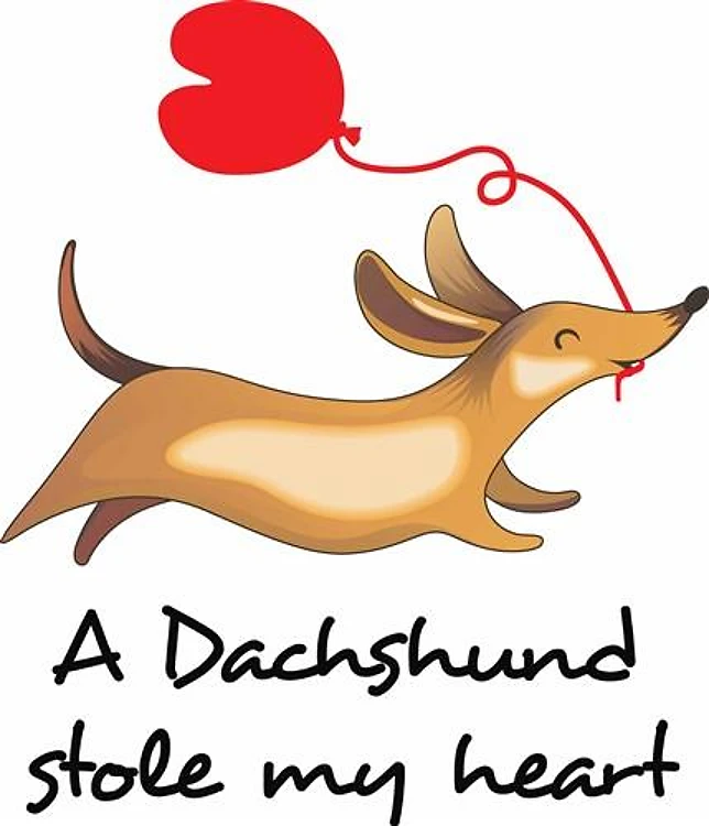 DACHSHUND STOLE MY HEART