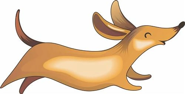 DACHSHUND