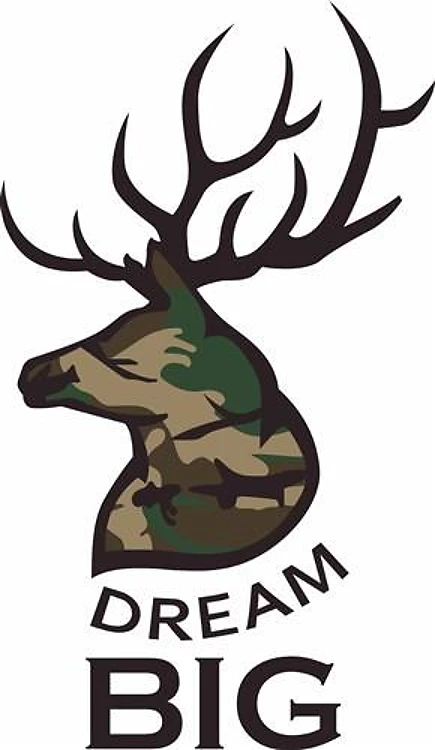 DREAM BIG BUCK
