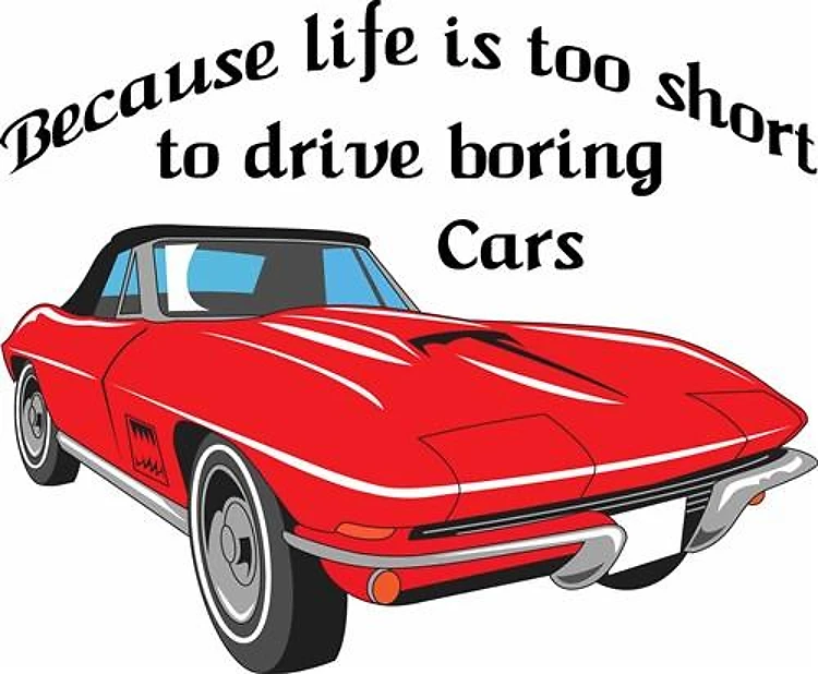TOO SHORT TO DRIVE BORING CARS