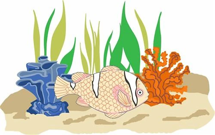 FISH AND CORAL