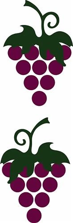 GRAPES BORDER