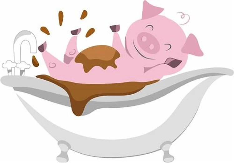 PIG IN BATHTUB