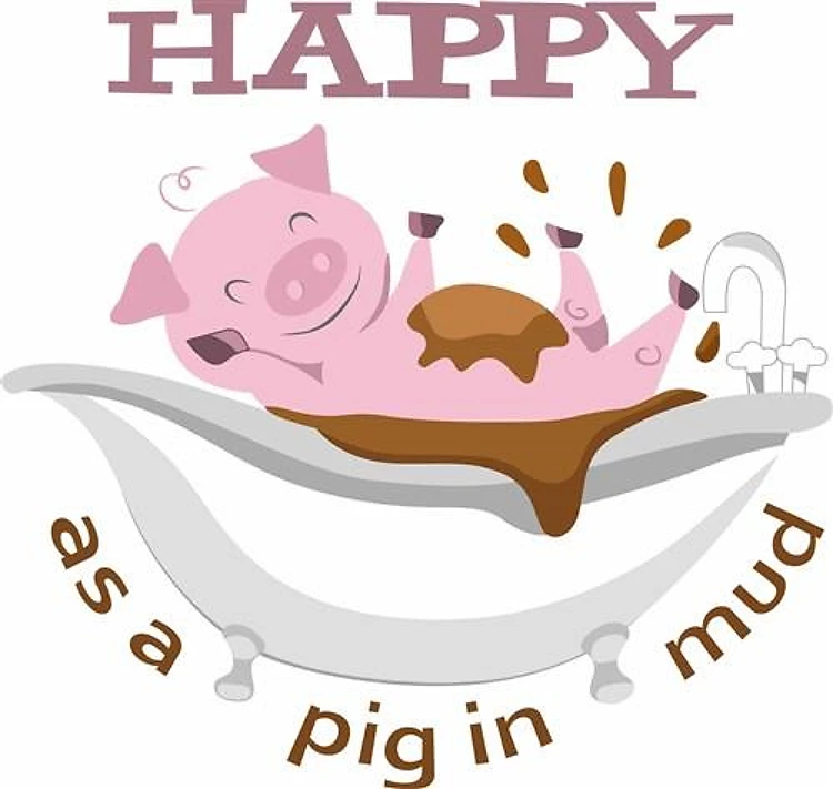 HAPPY AS A PIG IN MUD